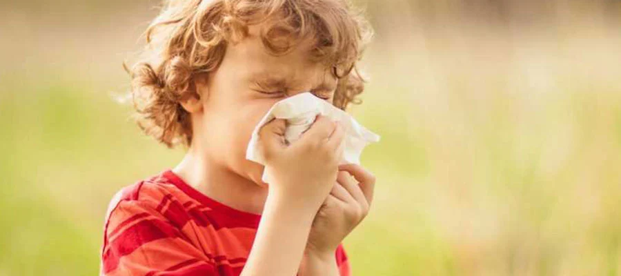 Allergic Eye Diseases